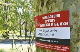 ПРЕЗ АПРИЛ ЩЕ СЕ ОБРАБОТВАТ ТРЕВНИТЕ ПЛОЩИ СРЕЩУ БЪЛХИ И КЪРЛЕЖИ