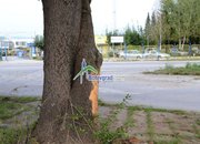 40-годишен ботевградчанин пострада при  катастрофа