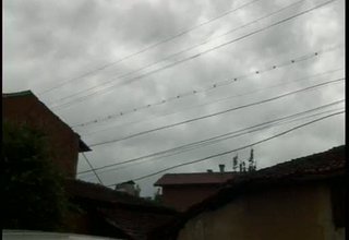 Скрийншот