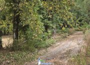 Община Ботевград пое грижата за парка на Техническия колеж – започна почистването