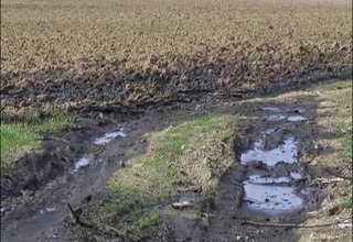 Скрийншот