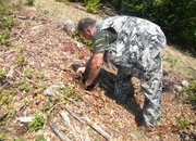 На Байовица се залесява