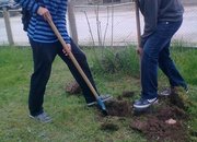 Ученици засадиха дървета по повод Деня на Земята
