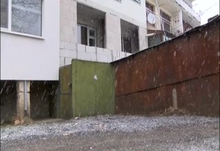 Акция на служители на Горското стопанство в Ботевград Скрийншот