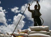 Цените на хляба достигнаха 35 - 40% от средноевропейските