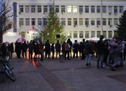 Светна коледната елха на Етрополе