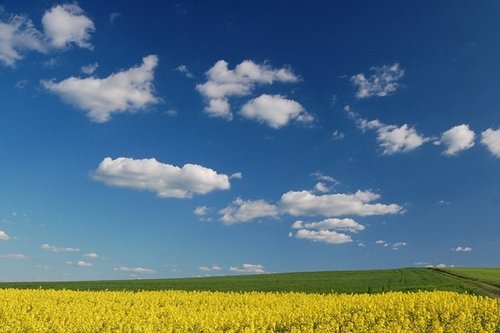 Първата летяща кола в света направи дебютен полет