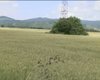 Скрийншот