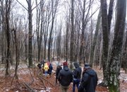 Третата дейност по проект „За всеки спасил дърво“ се осъществи с участието на равен брой ученици от Ботевград и Ниш