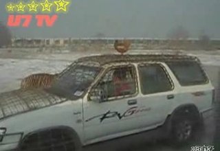 Кокошка Срещу Тигър Скрийншот