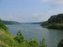 Шампион по борба се удави след бас, че ще преплува язовир