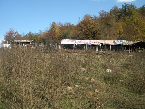 Потресаваща картина