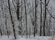 ЗИМЕН ПРАЗНИК В СЕЛО ЛОПЯН