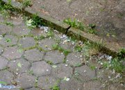 Невиждана градушка удари и  Ботевград
