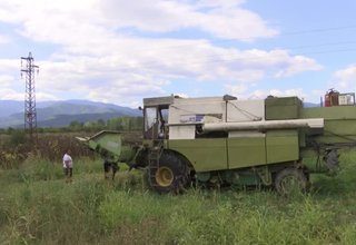 Скрийншот