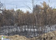 Пожарът, който обгази Ботевград, е ликвидиран. Подозират умишлен палеж