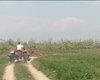 Скрийншот