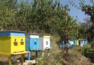 Пчеари от Сърбия гостуваха на колегите си в Ботевград. Скрийншот
