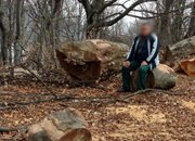 Мартин Тинчев: Директорът на Горското предложи да наемем хеликоптер, за да проверим състоянието на гората в Краево