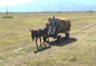 От 1 януари чужденците ще получават право да купуват земеделска земя Скрийншот