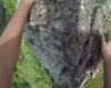 Скрийншот