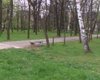 Скрийншот