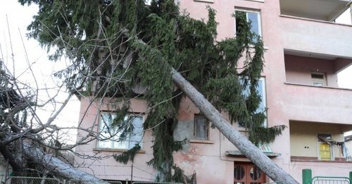 Ураган потроши шест къщи край Свищов