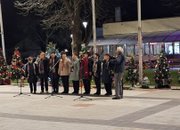 22 елхи засияха в центъра на Скравена