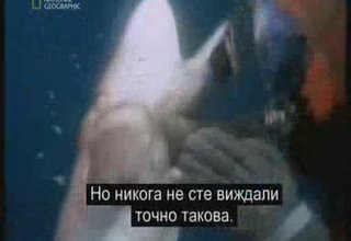 Екстремни Моменти - Разкрития За Акулата Скрийншот