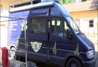 За втори път тази година фондация Четири лапи и община Ботевград организират кампания за кастрация на бездомните кучета Скрийншот