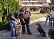 Домът за възрастни хора в Ботевград и „Четири лапи“ си партнират по проект „Животни помагат на хора“ 