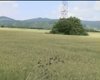 Скрийншот