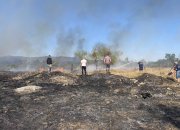 Ситуацията с пожара при м. Малините е под контрол
