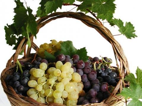 Управител на хотел плати над 900 долара за чепка грозде