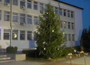 Светнаха светлините на Коледната елха в Етрополе