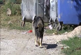 Скрийншот