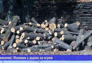 Измами с дърва за огрев Скрийншот