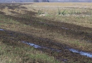 Безопасно ли е торенето на земеделските площи с продукт, който се получава при производството на биогаз Скрийншот