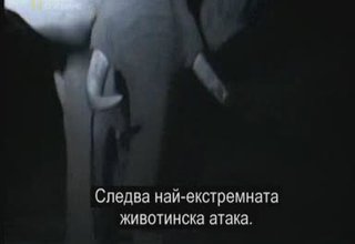 Най - Екстремната Животинска Битка Скрийншот