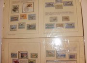 Момчил Пенев представя своя филателен експонат „Еволюция на гръбначните животните”
