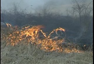 Пожарите са в следствие пролетното почистване Скрийншот