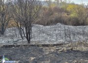 Пожарът, който обгази Ботевград, е ликвидиран. Подозират умишлен палеж