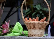 Министър Мариана Георгиева: Ботeвградската гимназия ще бъде пилотен проект за развитието на ученическия спорт