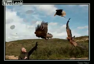 Невероятна гледка от гърба на орел Скрийншот