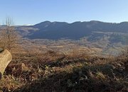 Добри хора почистиха местността „Лишавия камък“