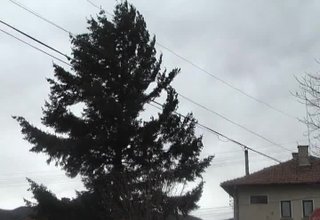 Скрийншот