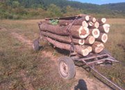 Акция срещу незаконната сеч в региона
