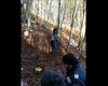 Скрийншот