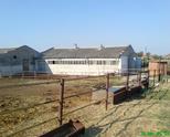 Продава на промоционална цена-Ферма за биволи