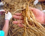 ПЕЧЕЛЕТЕ ДО 42 000 ДОЛАРА ГОДИШНО ОТ ДЕКАР ЖЕН ШЕН*